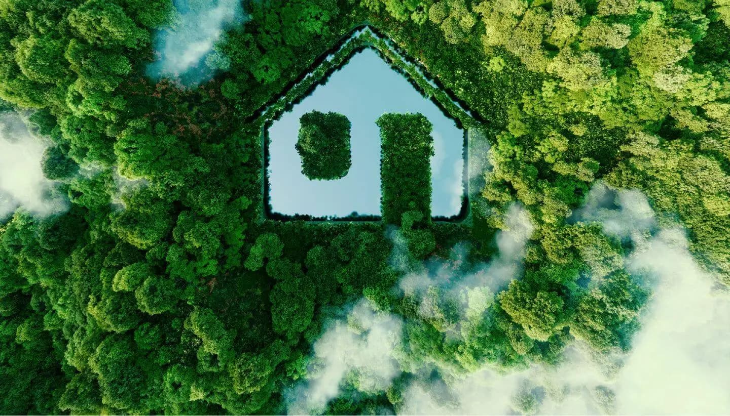 Aerial view of a forest around a house-shaped lake